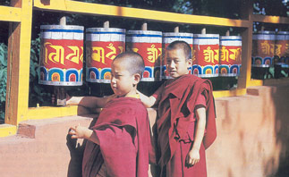 Young Lamas with Prayer Wheel