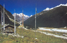 Yumthung Valley